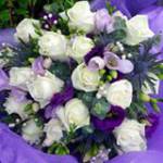 Basia Sawicka Profile Picture