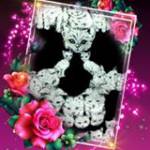 Marzena Jezierska Profile Picture