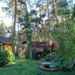 Adam Ciempka Profile Picture