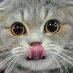 John Smith Profile Picture