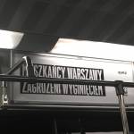 agatta_rataj Profile Picture