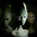 John Alienowski Profile Picture