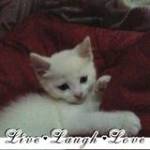 Lana McKay Profile Picture