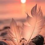 Marta Jankowska Profile Picture