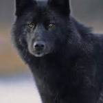 Arkadiusz Szymoński Profile Picture