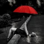 Damo Hera Profile Picture