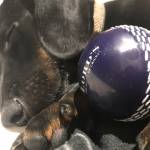 Agata Profile Picture