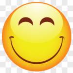 acnhbellsigvault Profile Picture