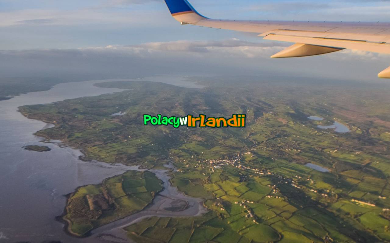 Polacy w Irlandii