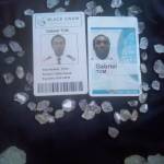 Gabriel Tom Profile Picture