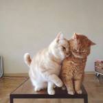 MuhammadQasim Profile Picture