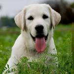 Kingang Profile Picture