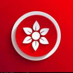 lolaccountsigvault Profile Picture