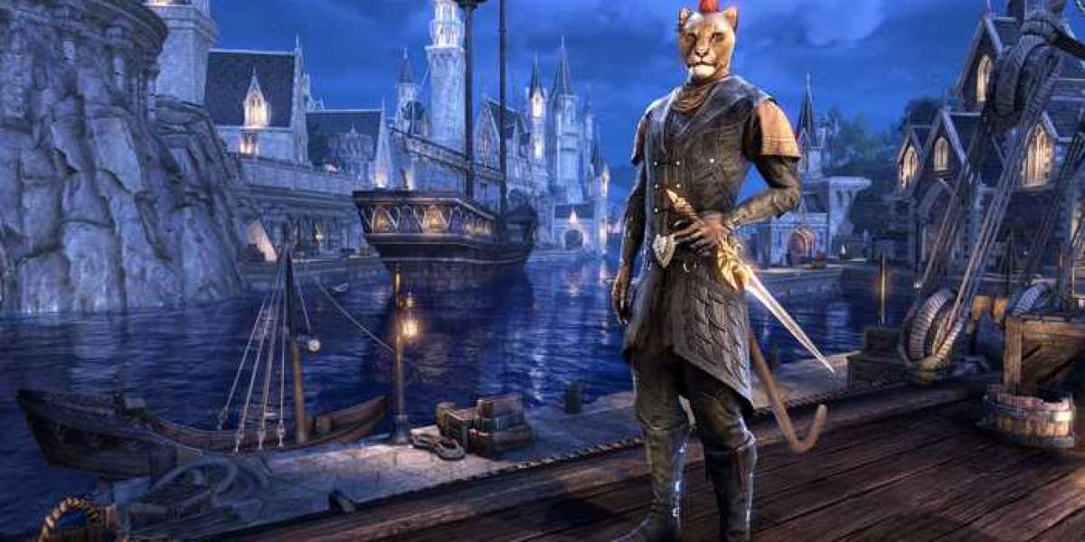 What should novice players pay attention to after entering Elder Scrolls Online