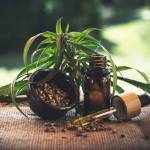 timothjacobs Profile Picture