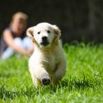 Feindpol Profile Picture