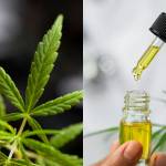 michelmarrtin Profile Picture