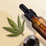 xmo lasd Profile Picture