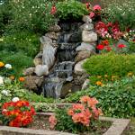 web tech Profile Picture