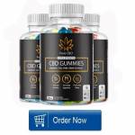 mitchell starc Profile Picture