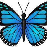 Kaitlyn Duff Profile Picture