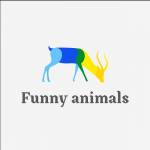 Funny animals Profile Picture