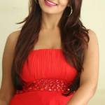 vicky kumar Profile Picture