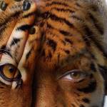 Krzysztof Chris Profile Picture