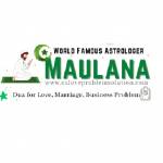 Maulana ji Profile Picture