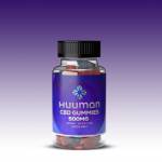 David Moncada8 Profile Picture