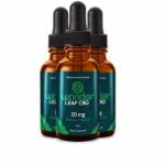 Barba perries Profile Picture