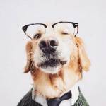 Crystalyang Yang Profile Picture