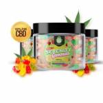 Shelby holand Profile Picture