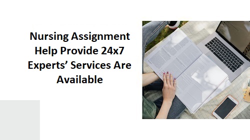 Nursing Assignment Help Provide 24x7 Experts’ Services Are Available - resistancephl.com