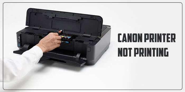 How to fix Canon Printer Offline issue?