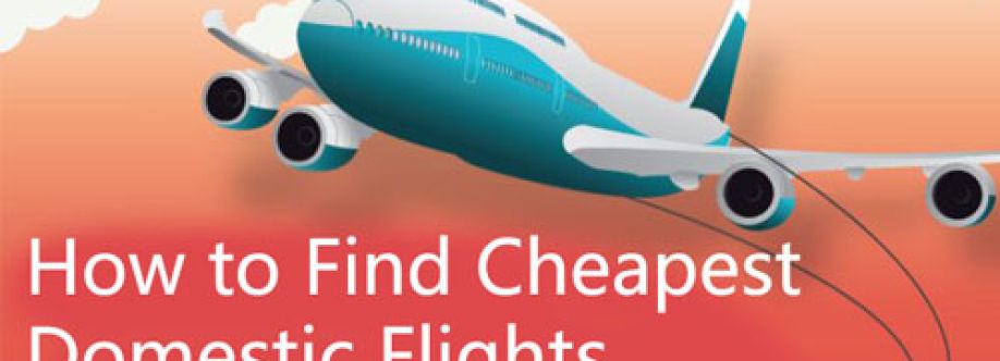 How to Find Cheapest Domestic Flights Within the USA Cover Image