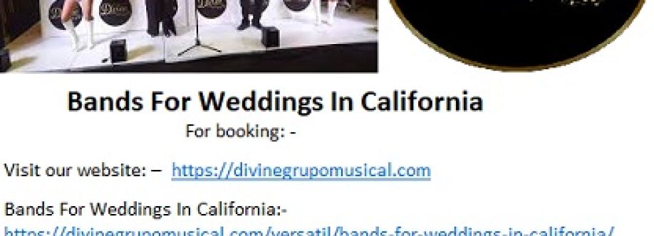 Divine Latin Bands For Weddings In California at Best Price. Cover Image