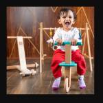 treehouse toys Profile Picture