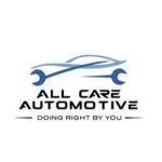 THE AUTOMOTIVE EXPERTS Profile Picture