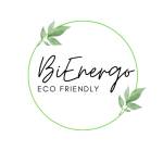 BiEnergo Profile Picture