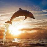 akddy88 akddy88 Profile Picture