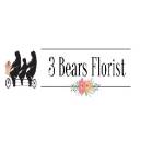3bears florist Profile Picture