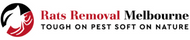 Why should you keep an eye on rat infestation round the year? - Rat Removal Melbourne