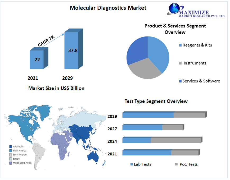Molecular Diagnostics Market: Global Trends, Statistics, Dynamics | 2029