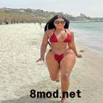 mod net Profile Picture