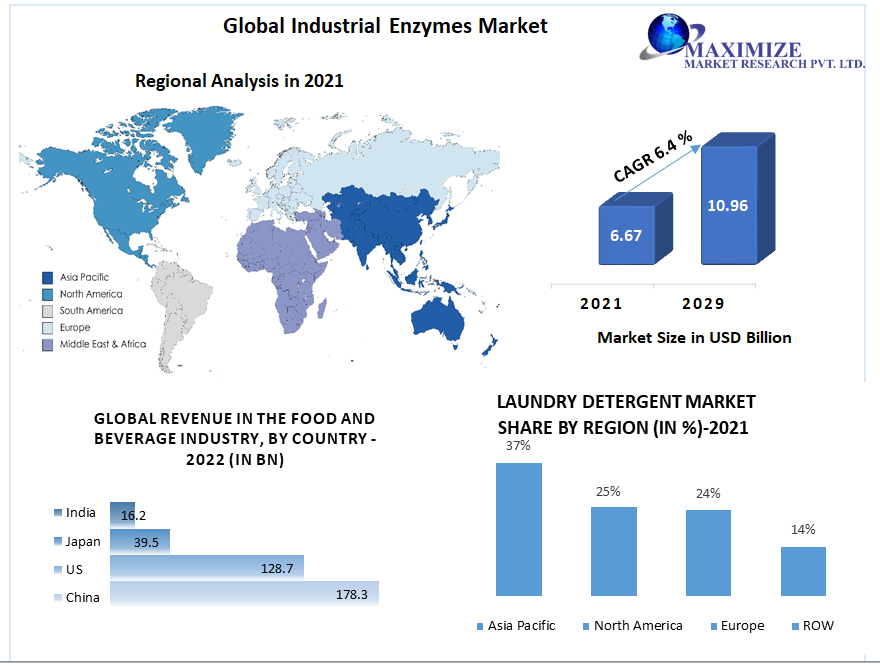 Industrial Enzymes Market - Global Industry Analysis and Forecast 2029
