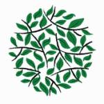 ASAVI farms Profile Picture