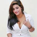 Escorts gency in Karachi Profile Picture