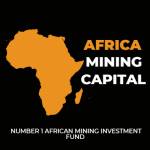 Africa Mining Capital Profile Picture