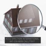 Accu Spection International Profile Picture